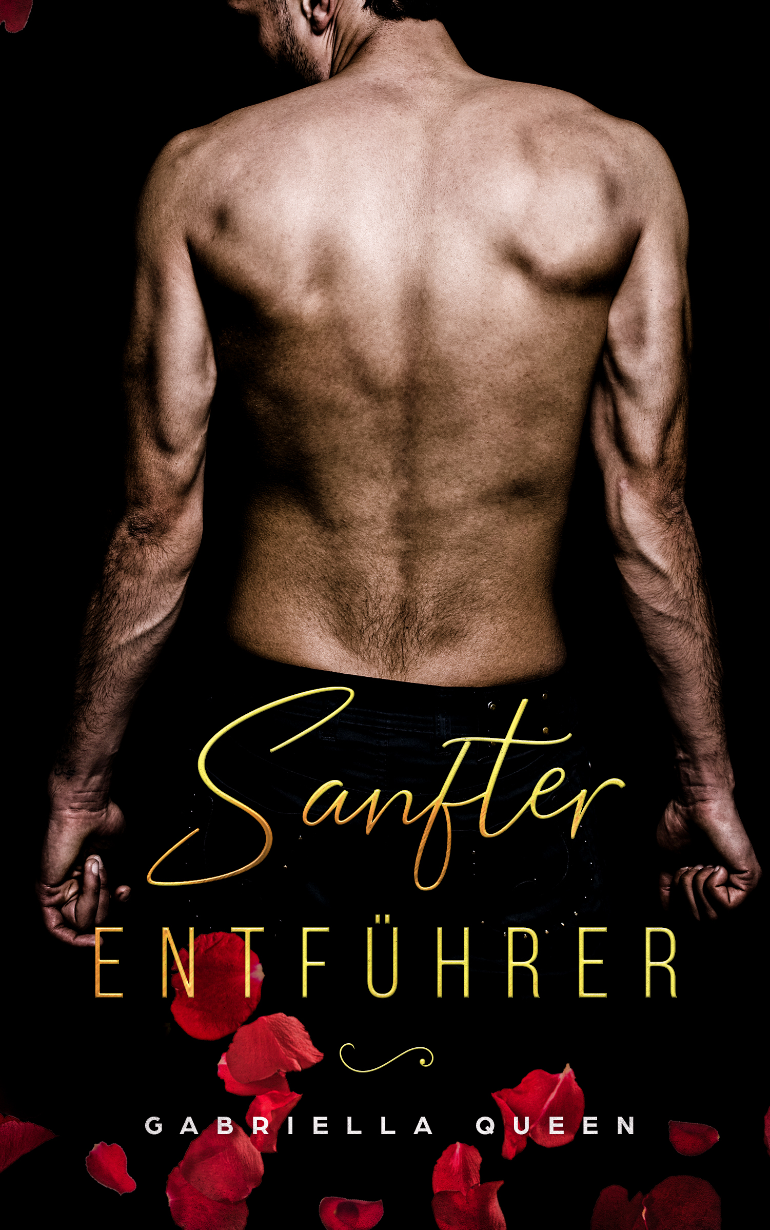 Sanfter Entführer Gay Romance Buchcover